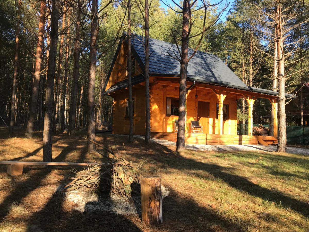 Forest Inn Trzepieciny Kültér fotó
