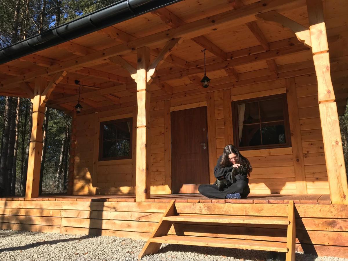 Forest Inn Trzepieciny Kültér fotó