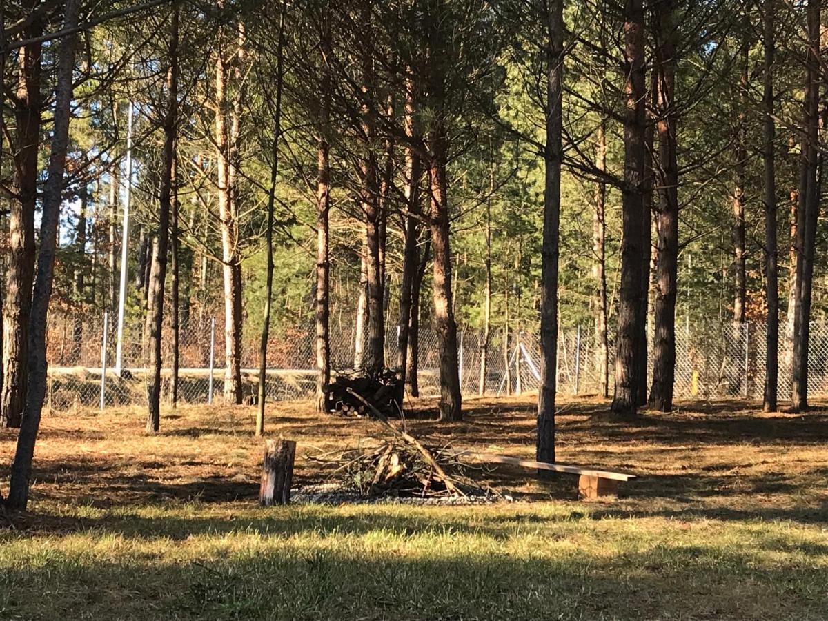Forest Inn Trzepieciny Kültér fotó
